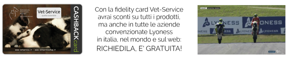 lyoness home page CON SCRITTA